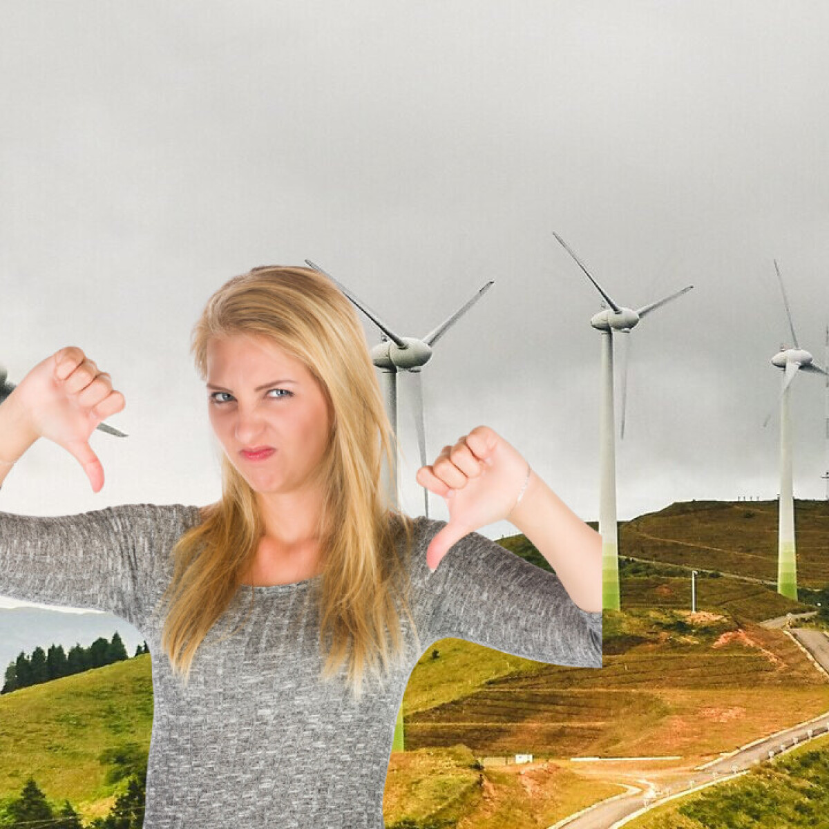 Why wind turbines are not as green as you think