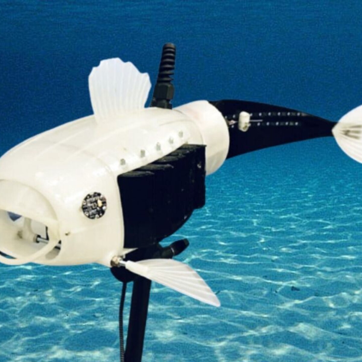 Open-source fish robot starts collecting microplastics from UK lakes