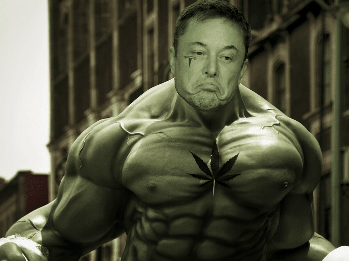 Elon Musk bought $45M in Tesla stock since 'that weed joke' — now it's worth double