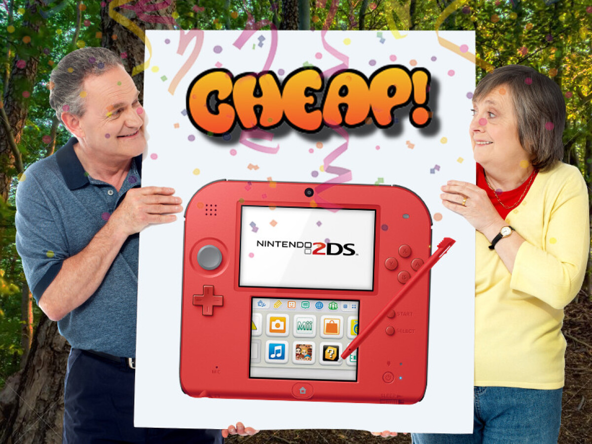 2ds cheap shop