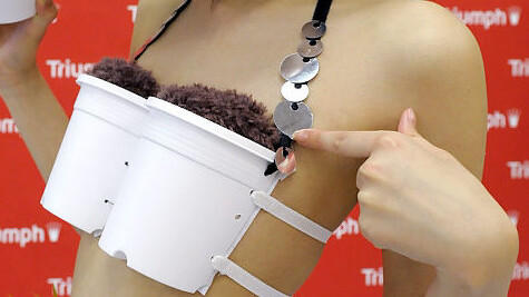 Plant a rice garden in your BRA!! FTW?