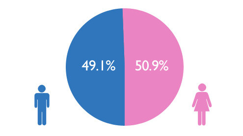 Demographics of blogging: Young women dominate (just).