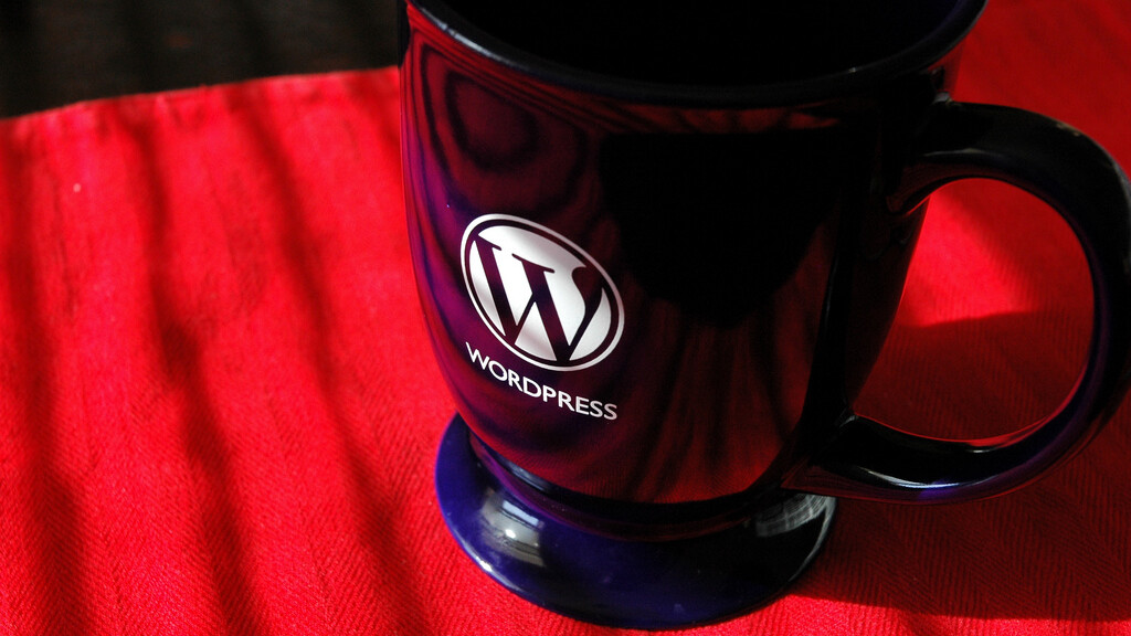 It’s WordPress update time. 3.0.1 is now live.