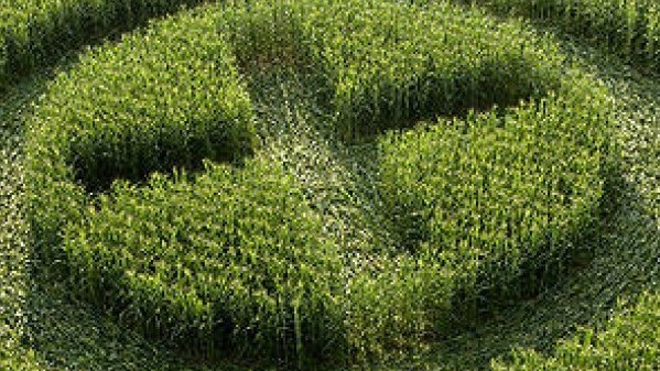 Xmarks.  Life after announcing death?