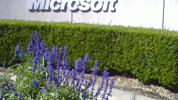 Microsoft: Who Poked the Sleeping Dragon?