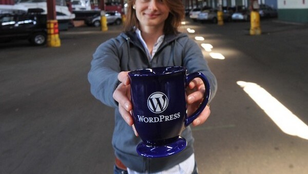 Like WordPress? You can now buy some official WP swag online