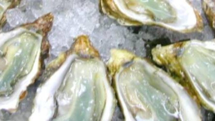 Love oysters? Check out Oysterpedia, an “app-hrodisiac”