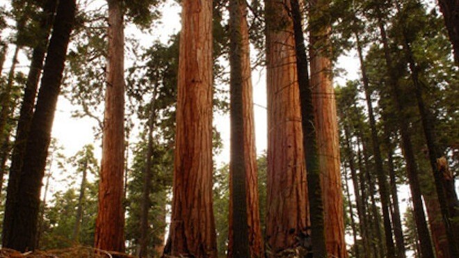 Sequoia Capital adds $1.3 billion to its funding coffers