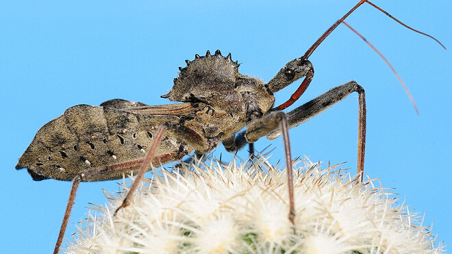 Volunteer earns $20,000 in a year spotting Google bugs