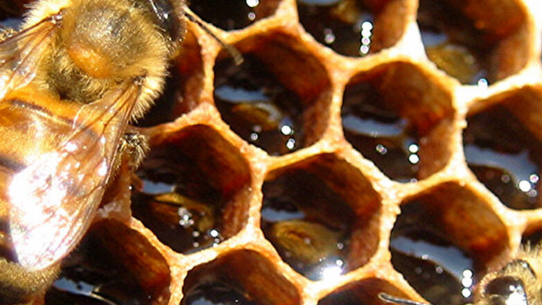 The Honeycomb statue arrives at Google’s Android HQ