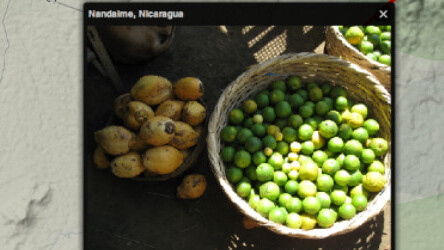 Tripline releases a new app for social media savvy travelers