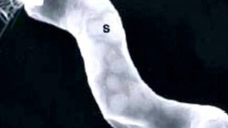 Breakthrough: NASA discovers proof of alternative life