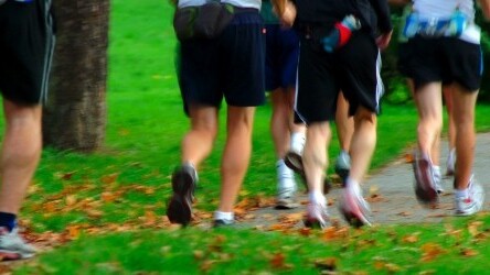Training Mobs: Plancast for fitness junkies