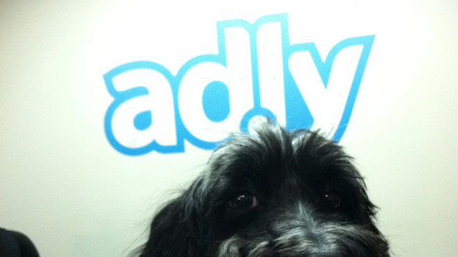 Facebook bans Ad.ly for ToS violations