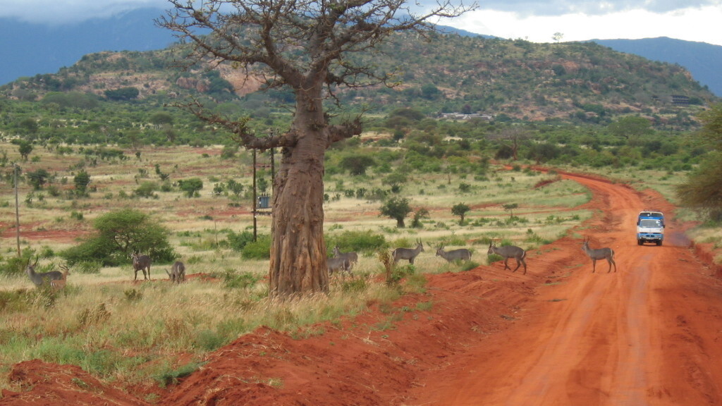 How Social Media Saved Valentine’s Day