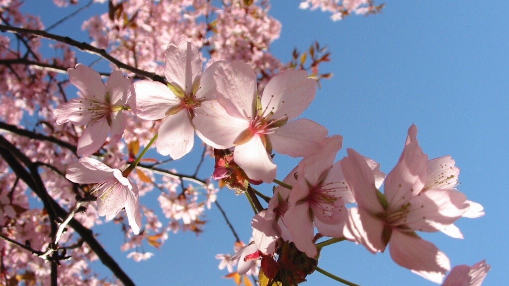 Spring Cleaning Tips for Facebook and Twitter