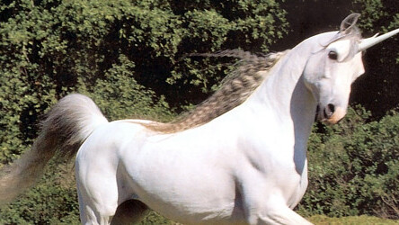 Never see a Unicorn again with this handy plug-in