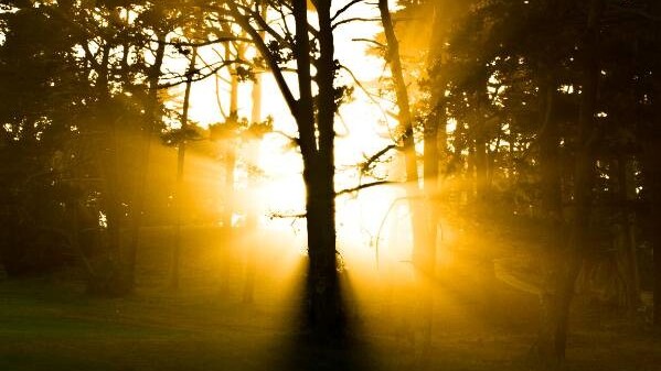 Facebook Just Patented The Feed – What Does That Mean For Everyone That Uses Them?