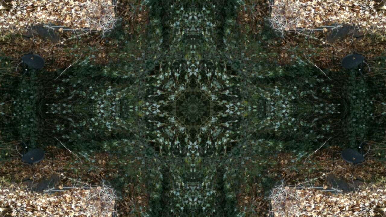The new KaleidaCam iPhone app is brilliantly trippy