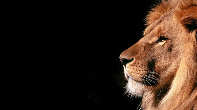 TNW Review: OS X Lion