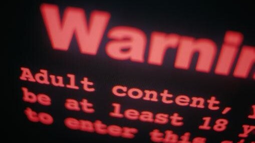 .XXX websites to adopt content and safety warning system