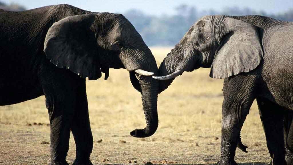 GOOD to launch its own Kickstarter-like crowdsource funding platform