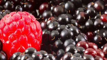 94% of iPhone users will buy another, most Blackberry users just want one already