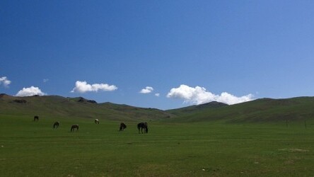 The touching moment when a Mongolian family sees their photographs for the first time