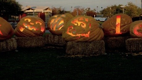 Googlers carve real-life Doodle into giant pumpkins for Halloween [Video]