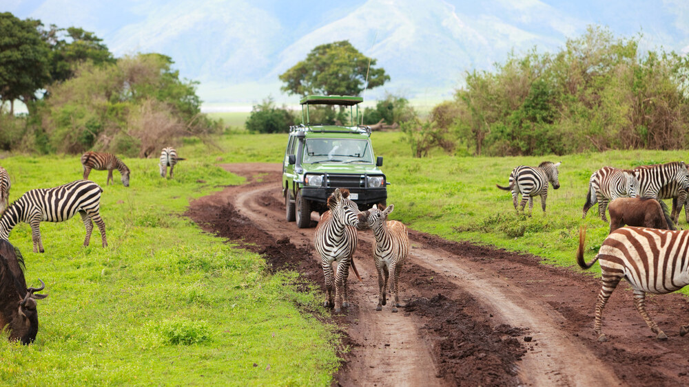 TripIt expands its itinerary platform with Avis car reservations