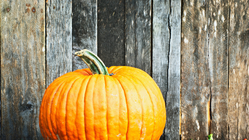 Tricks and Treats: This week’s most talked about social media