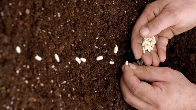 Fail fast: How startups can learn from their mistakes