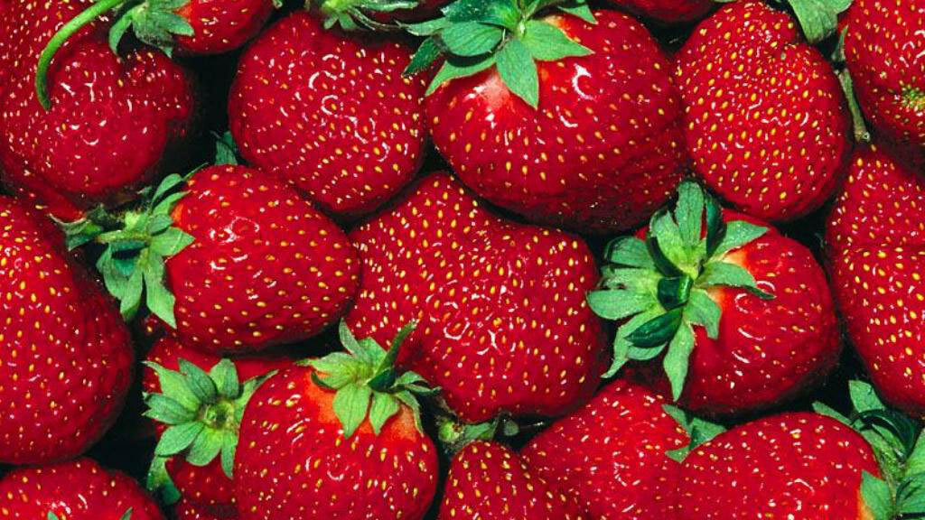 Strawberry Earth launches as Europe’s first green Groupon