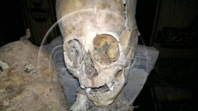 Scientists think this triangular skull belongs to an alien