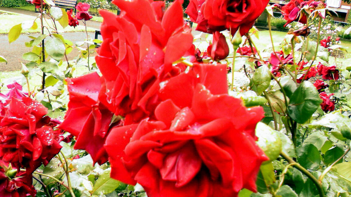 Between: A social network just for you and your significant other