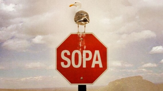 Boycott SOPA: The Android app that identifies products sold by SOPA-backing companies