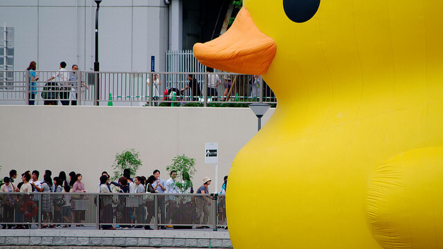 We bet you don’t know who owns Duck.com and what it redirects to