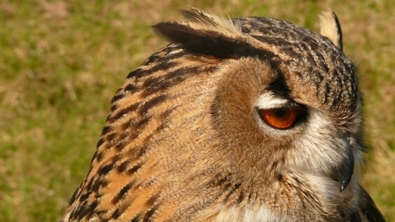 HootSuite hits 3 million signups, sees 1m new accounts in 6 months