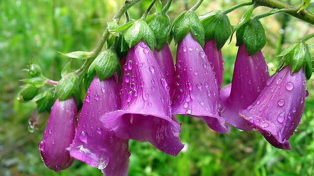 ProCSSor is the perfect CSS formatter & compressor for Web designers