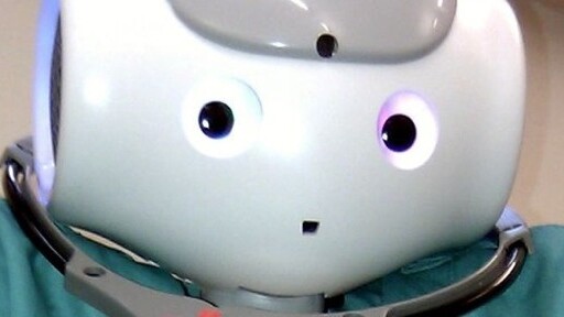 How robots could one day become our best friends