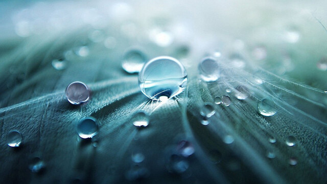 Phone waterproofing company Liquipel is expanding to Australia, Brazil and China