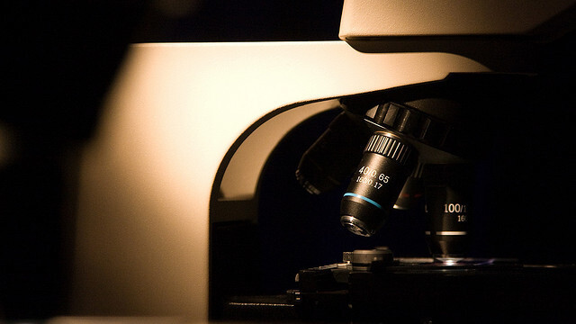 Up close and personal: What the new iPad’s Retina display looks like under a microscope