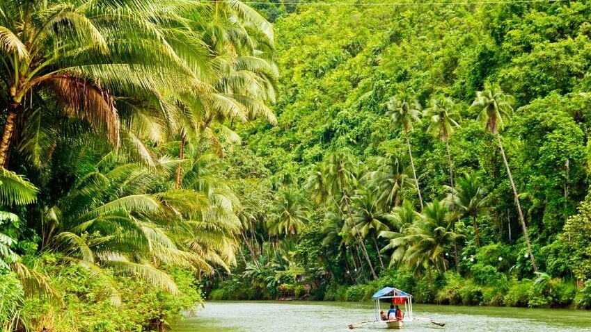 Google Street View now lets you visit the Amazon