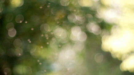 Responsinator: A simple & effective way to test your site design on a range of popular screen sizes