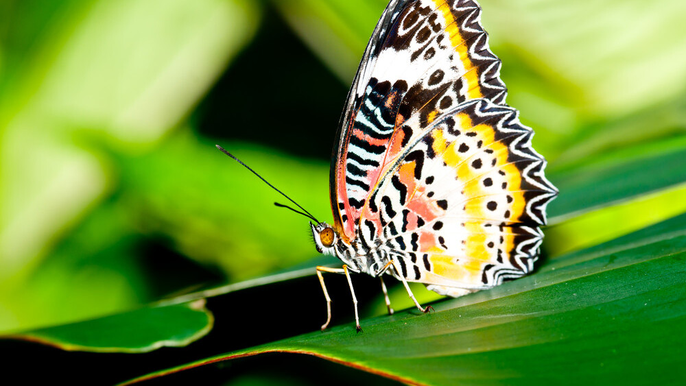 We ask: How does the new experience economy affect your business?