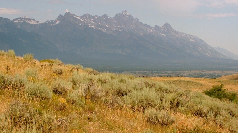 Microsoft building $112 million data center in Wyoming, as the state looks to boost such projects