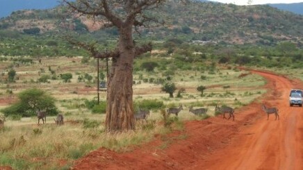 Apple releases Safari 5.2 Update 3 to developers, packing new vector filters and web inspector