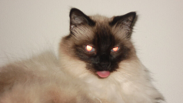 Are you ready for HTML9? Responsive Boilerstrap JS will make your head explode