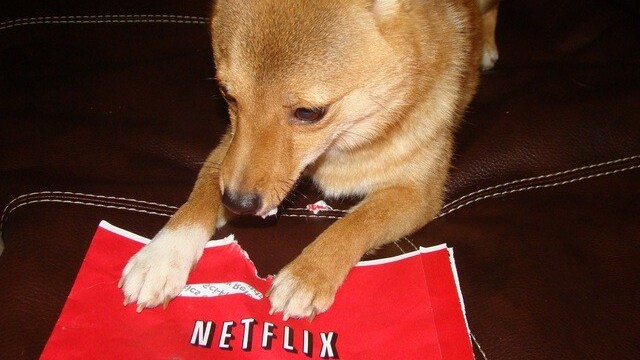 Netflix updates web player with a new design, better windowed support and streamlined controls