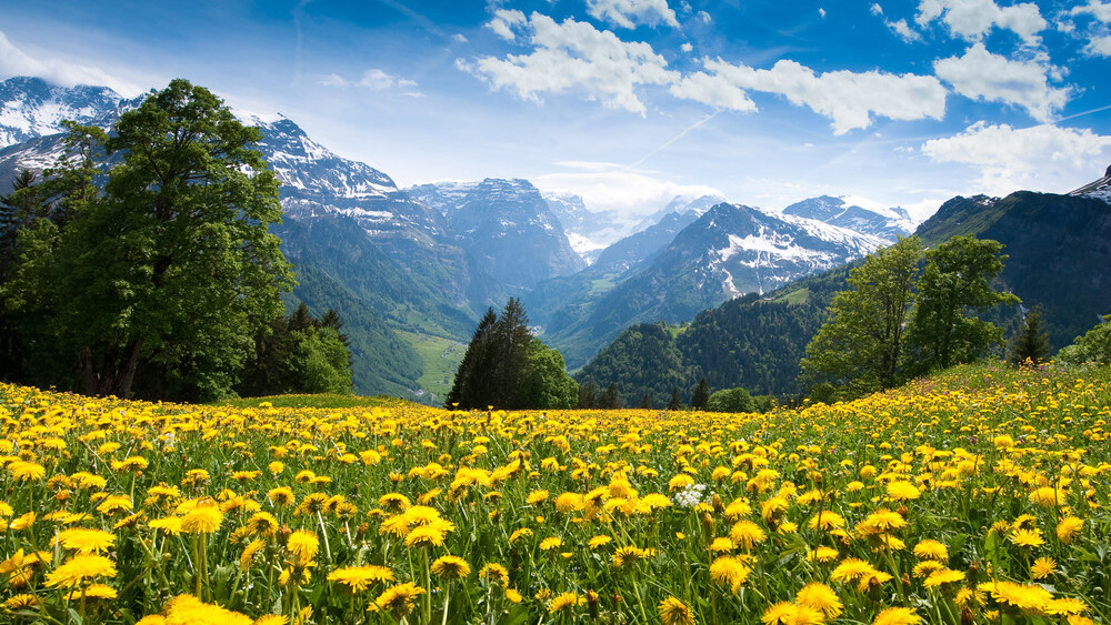 An inside look at Switzerland’s seriously ambitious startup scene